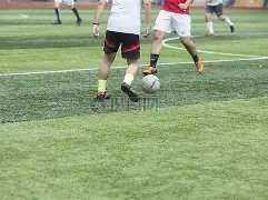 英超强援集,哈格里夫斯,领军,B体育官网,B体育平台,B体育链接,B体育官方