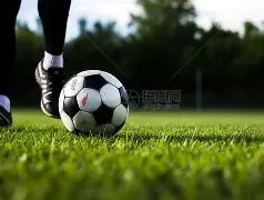 熊猫杯风云,汪士钦遗憾,落选,B体育官网,B体育平台,B体育链接,B体育官方