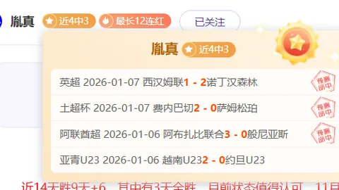 2025年西蒙国家队点球战七次神扑，仅略输大马丁一筹。