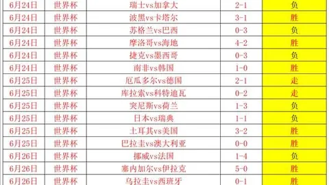 体育 144143